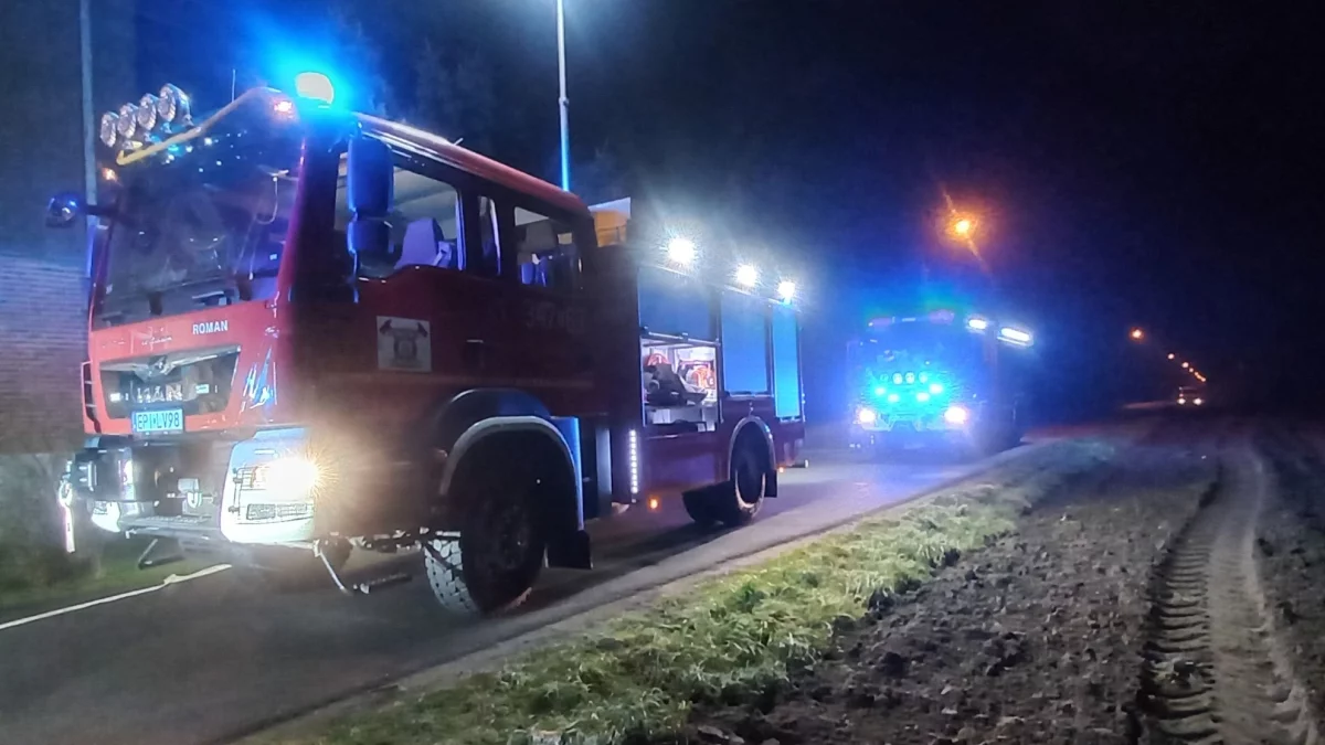 Pożar pod Piotrkowem. Na miejscu kilkunastu strażaków - Zdjęcie główne