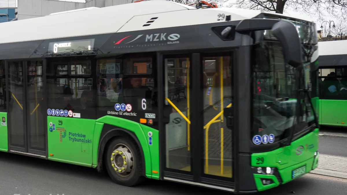 W Piotrkowie pojedziemy autobusami za darmo. Ale tylko w konkretne dni