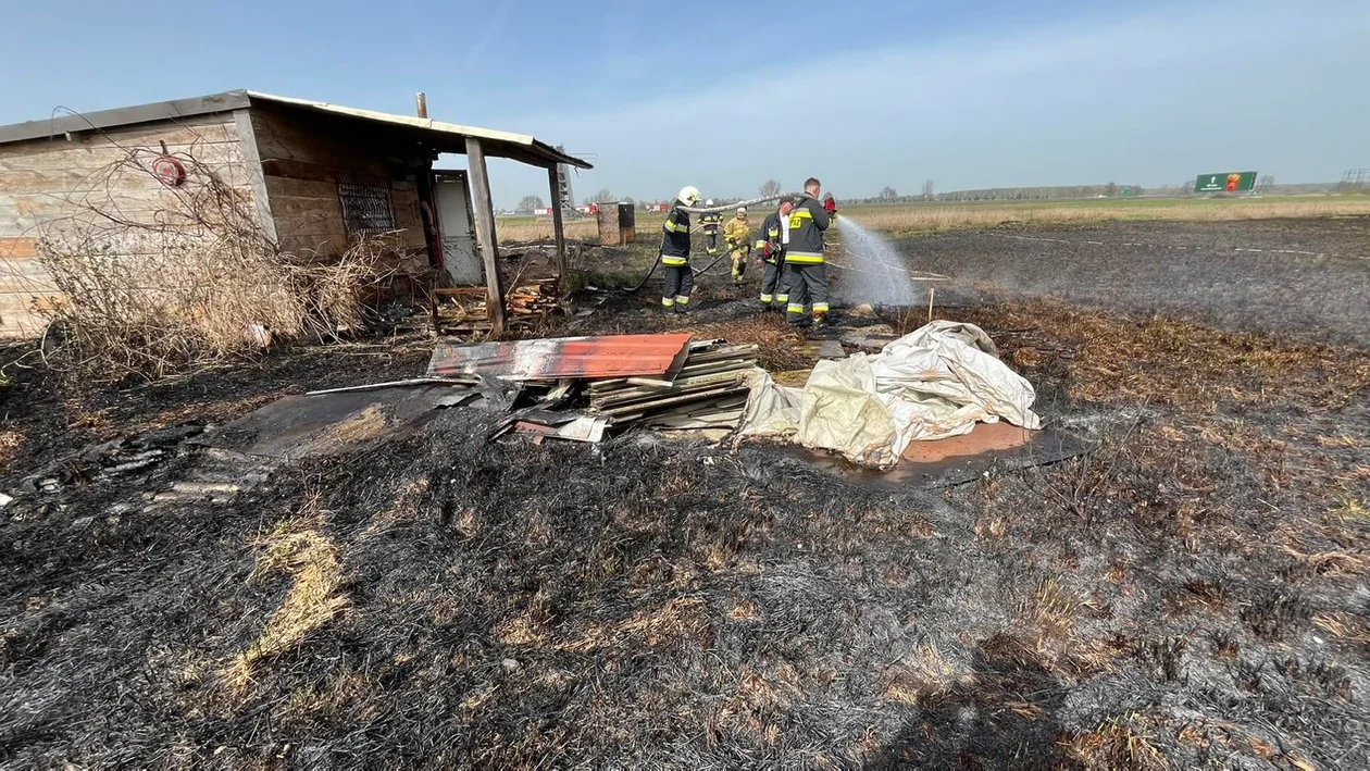 Pożar w powiecie piotrkowskim. Na miejscu 4 zastępy - Zdjęcie główne