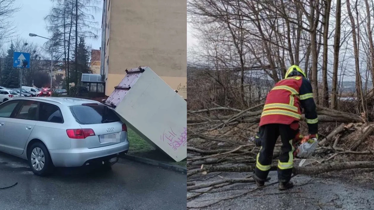 Powalone drzewa, uszkodzona linia energetyczna... Skutki wichury nad Piotrkowem - Zdjęcie główne