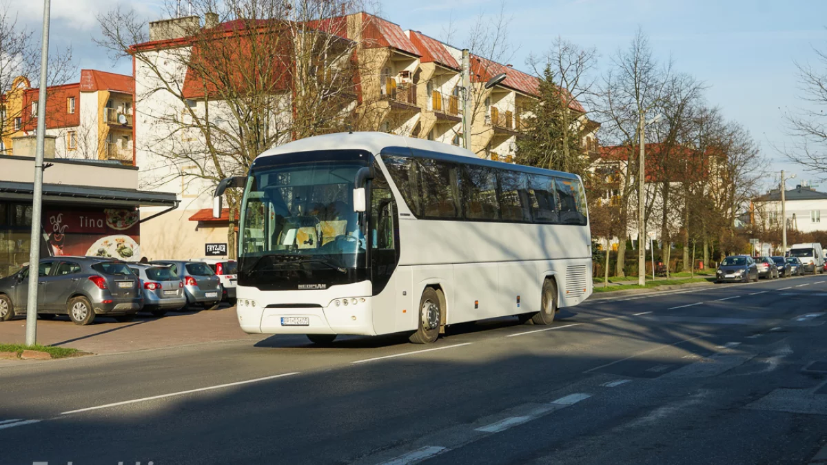 Ruszyły nowe linie autobusowe. Wola Krzysztoporska – Piotrków Trybunalski (ROZKŁAD JAZDY) - Zdjęcie główne