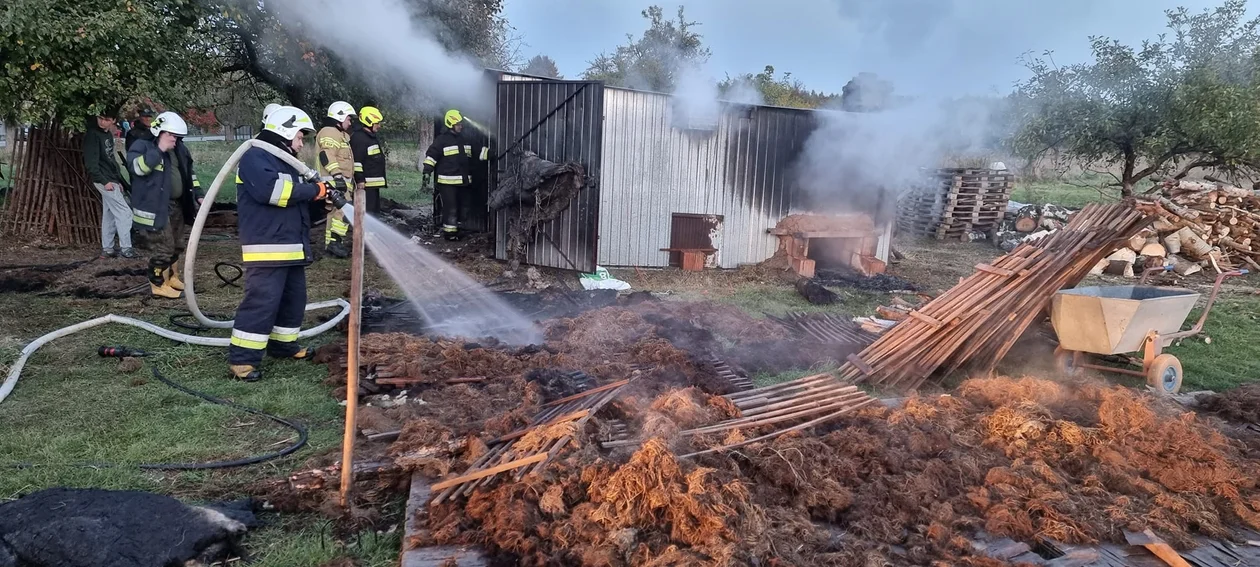 Pożar w powiecie piotrkowskim. Straty przekraczają 20 tysięcy - Zdjęcie główne