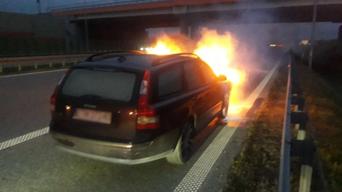 Pożar na trasie pod Piotrkowem. Płonął samochód [ZDJĘCIA] - Zdjęcie główne