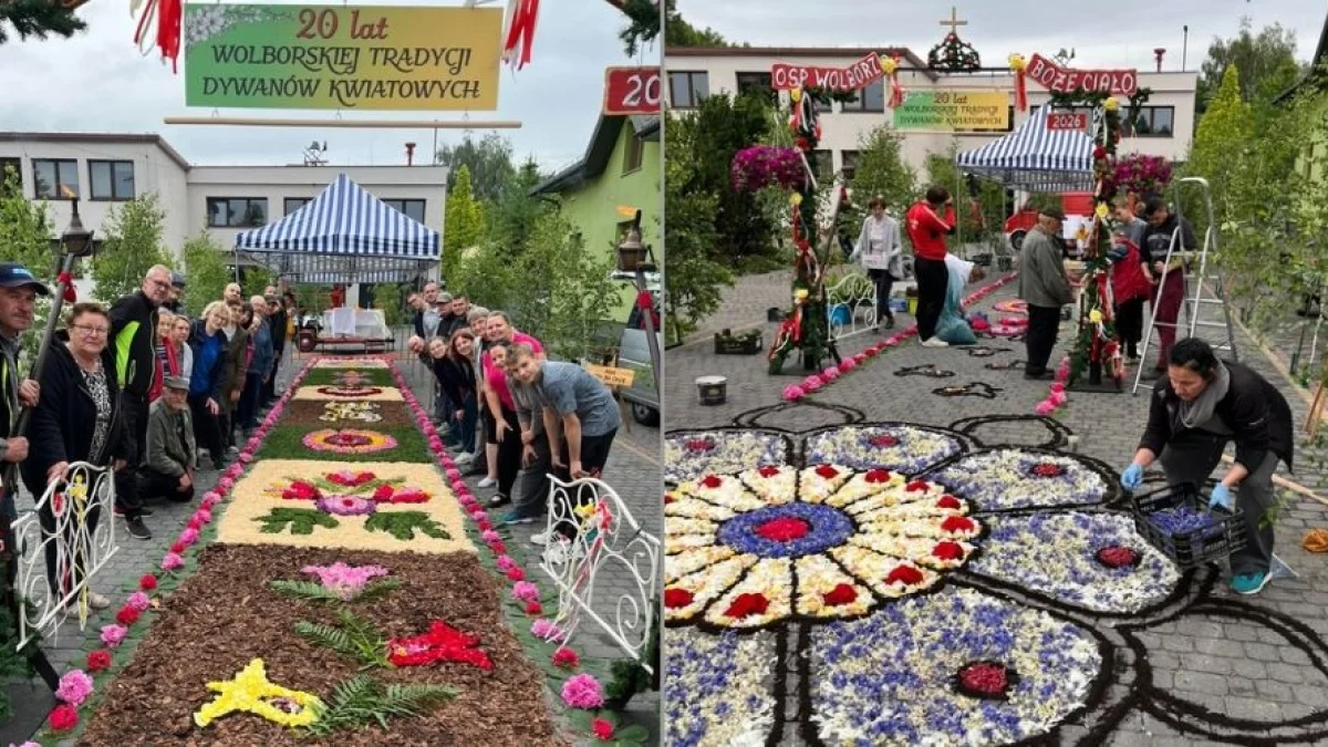 Tradycja, która łączy pokolenia. W naszym powiecie powstał spektakularny kwietny dywan! [ZDJĘCIA]