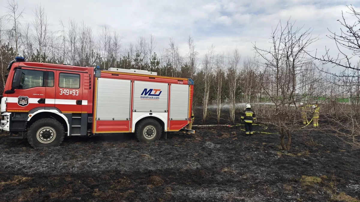 Pożar w gminie Wola Krzysztoporska. Na miejscu 3 zastępy straży - Zdjęcie główne