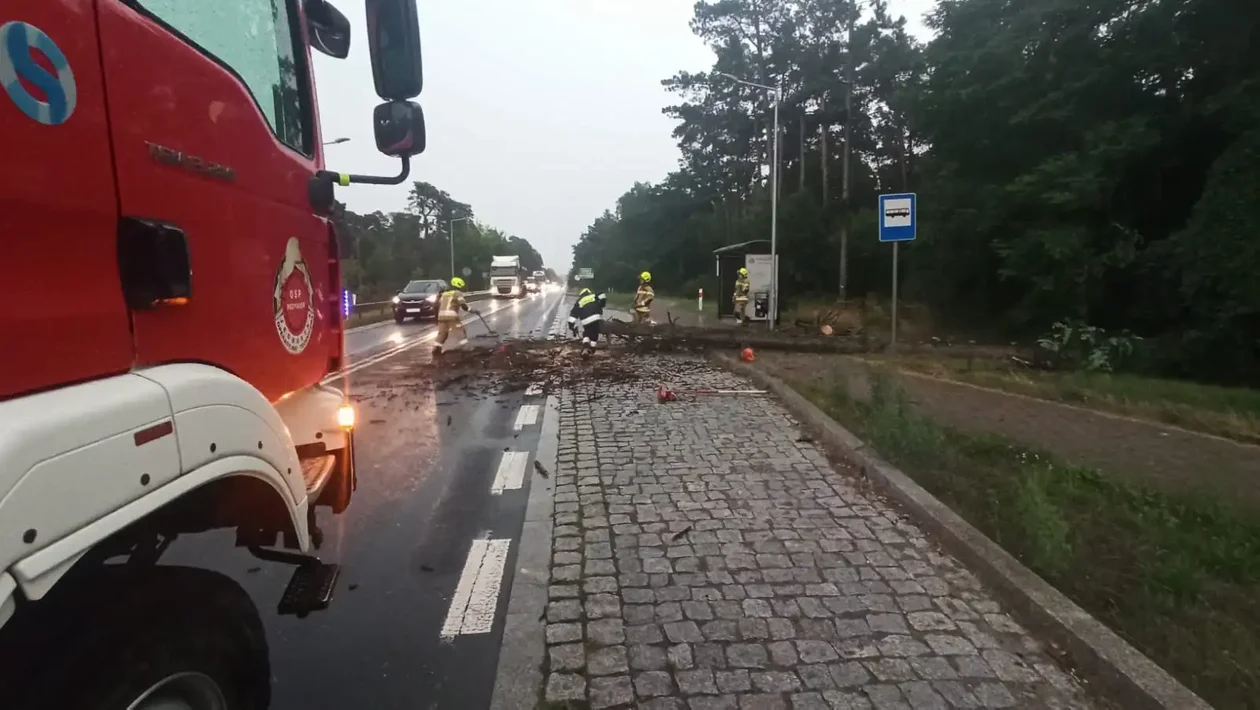 Pożar stodoły, piecyka gazowego, powalone drzewa... Oto skutki m.in. poniedziałkowej burzy w regionie - Zdjęcie główne