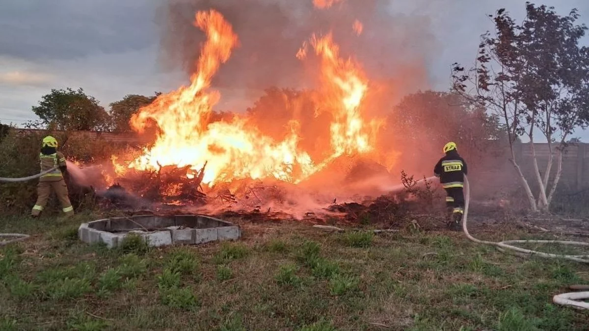 Pożar pod Piotrkowem. Strażacy walczyli z ogniem ponad dwie godziny