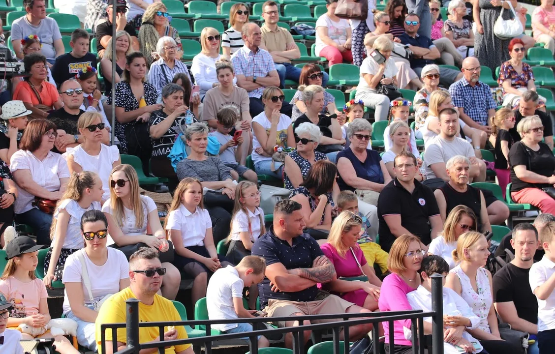 Piotrkowska przyroda na fotografiach. Znamy zwycięzców konkursu - Zdjęcie główne