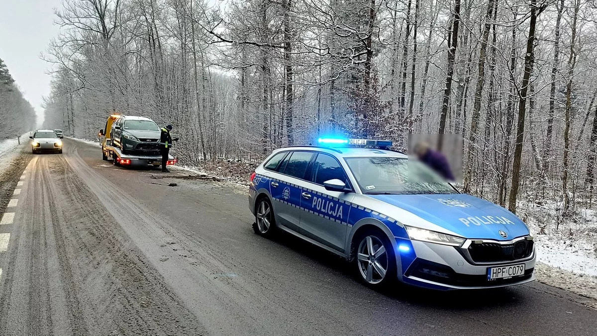 Jazdę zakończyła w rowie. Groźnie pod Piotrkowem - Zdjęcie główne