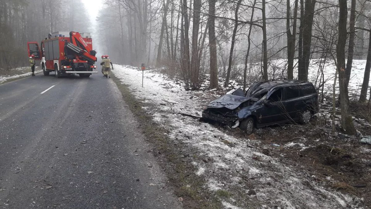 Opel wypadł z drogi i uderzył w drzewo. Wypadek w Piotrkowie [ZDJĘCIA] - Zdjęcie główne