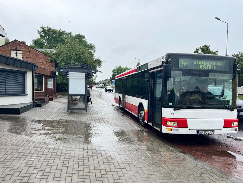 Darmowa komunikacja miejska w Piotrkowie. Sprawdź, kiedy skorzystasz i dlaczego - Zdjęcie główne