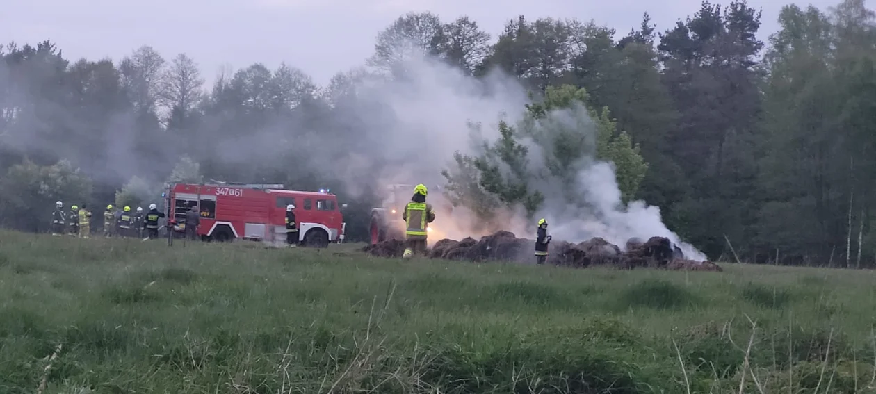 Pożar pod Piotrkowem Trybunalskim. To kolejna akcja strażaków w tej okolicy - Zdjęcie główne