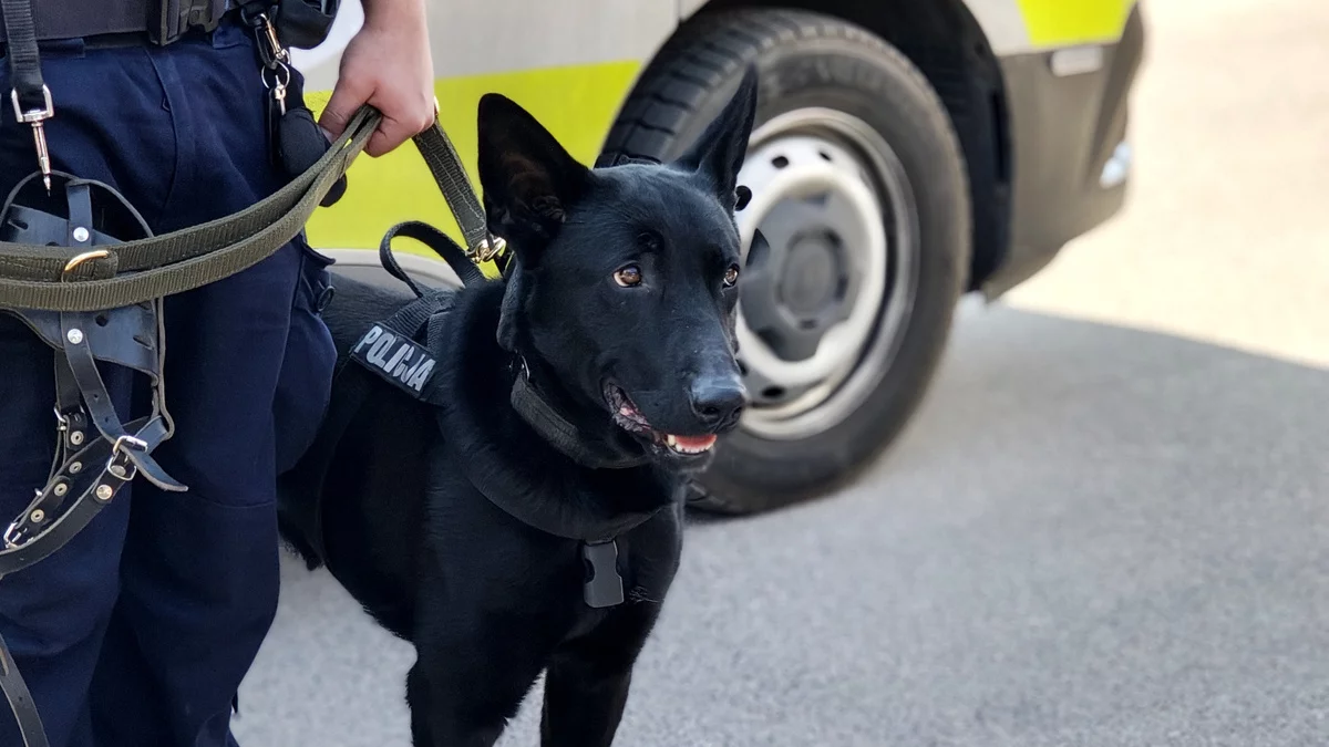 Nowy funkcjonariusz piotrkowskiej komendy. Będzie tropił przestępców i nie tylko...