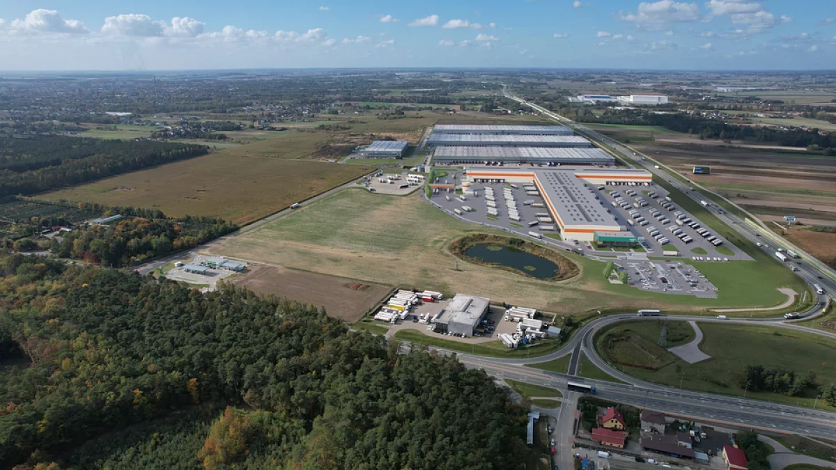 Allegro rekrutuje w naszym mieście. Jakie wymagania trzeba spełnić?