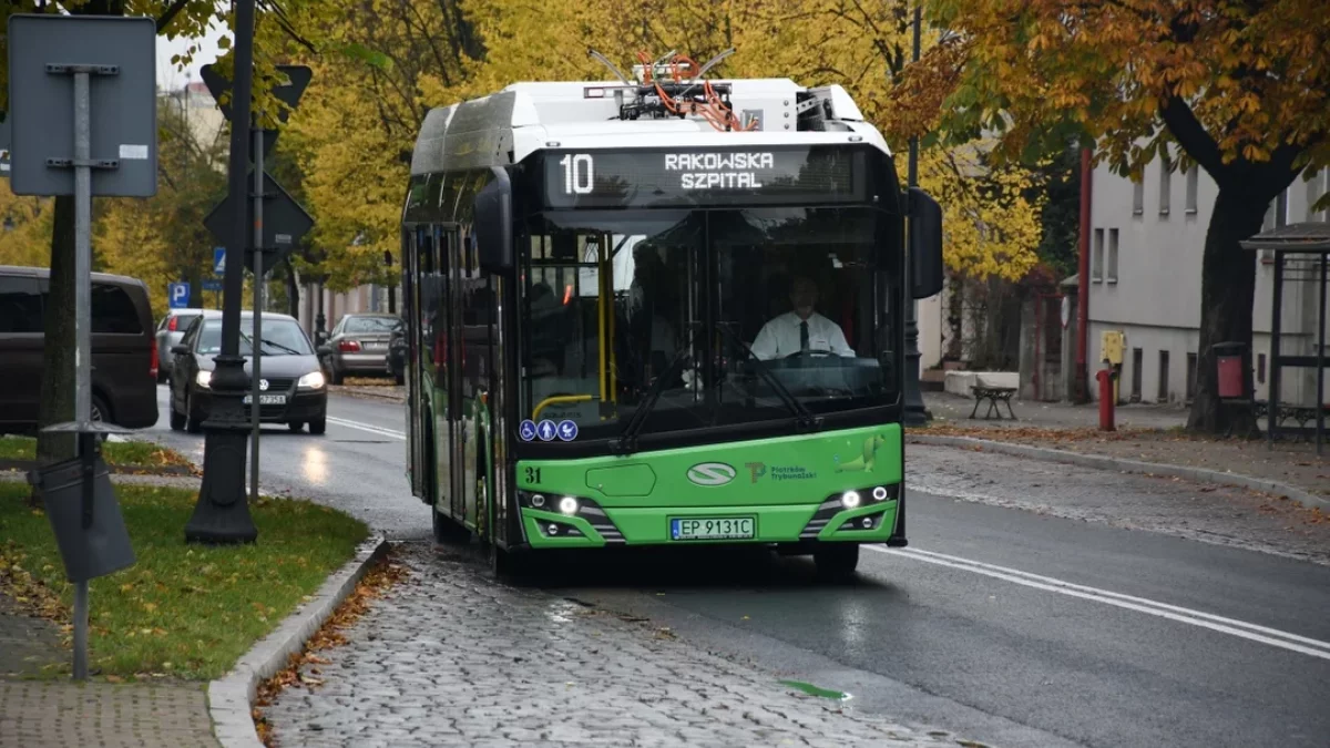 Bezpłatne MZK w Piotrkowie przegłosowane. Kto i od kiedy jeździ za darmo? - Zdjęcie główne