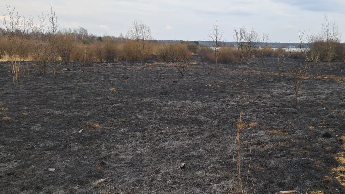 Pożar niedaleko jeziora Bugaj. Na miejscu trzy zastępy straży pożarnej