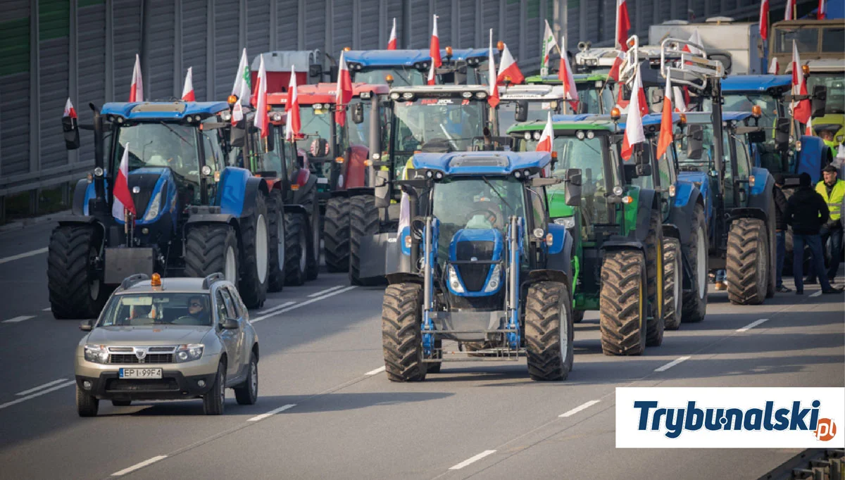 Rolnicy z powiatu piotrkowskiego dołączyli do protestów na A1. Wiemy, ile może potrwać strajk [FOTO][VIDEO] - Zdjęcie główne