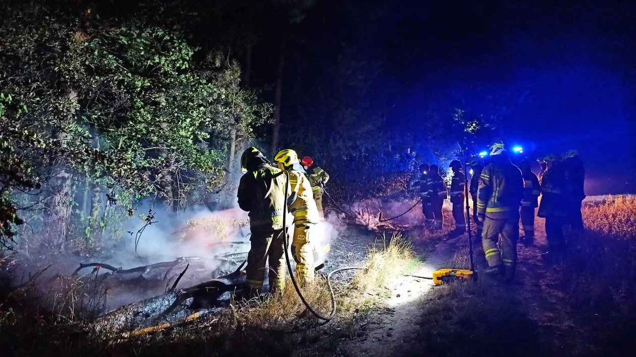 Pożar w powiecie piotrkowskim. To nie pierwsza taka sytuacja w tym miejscu - Zdjęcie główne