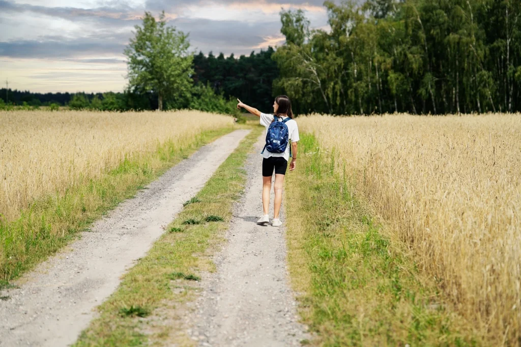 Wyremontują drogi w powiecie. Gigantyczne pieniądze trafią do urzędów - Zdjęcie główne