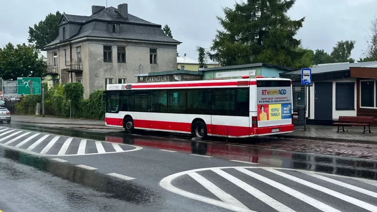 Darmowe MZK w Piotrkowie ponownie rozszerzone. Kto jeszcze skorzysta? - Zdjęcie główne