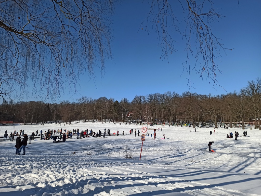 Zimowe aktywności łodzian w parkach w Łodzi. Tłumy korzystają z uroków zimy (fot. TuŁódź.pl)