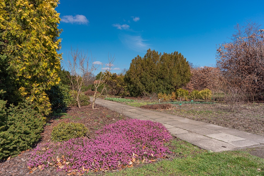 Ogród Botaniczny w Łodzi znowu otwarty  (fot. Michał Pietrzak - TuLodz.pl) |wiadomości łódzkie|łódź|TuŁódź