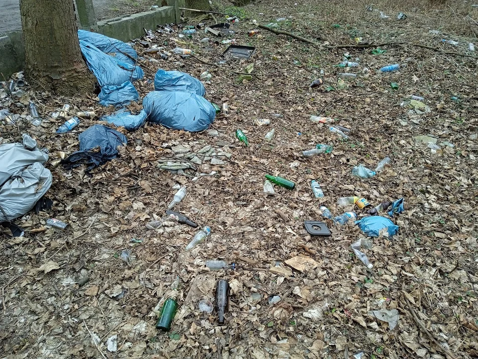 Aktualne śmieci znajdujące się na opisywanym przeze mnie terenie