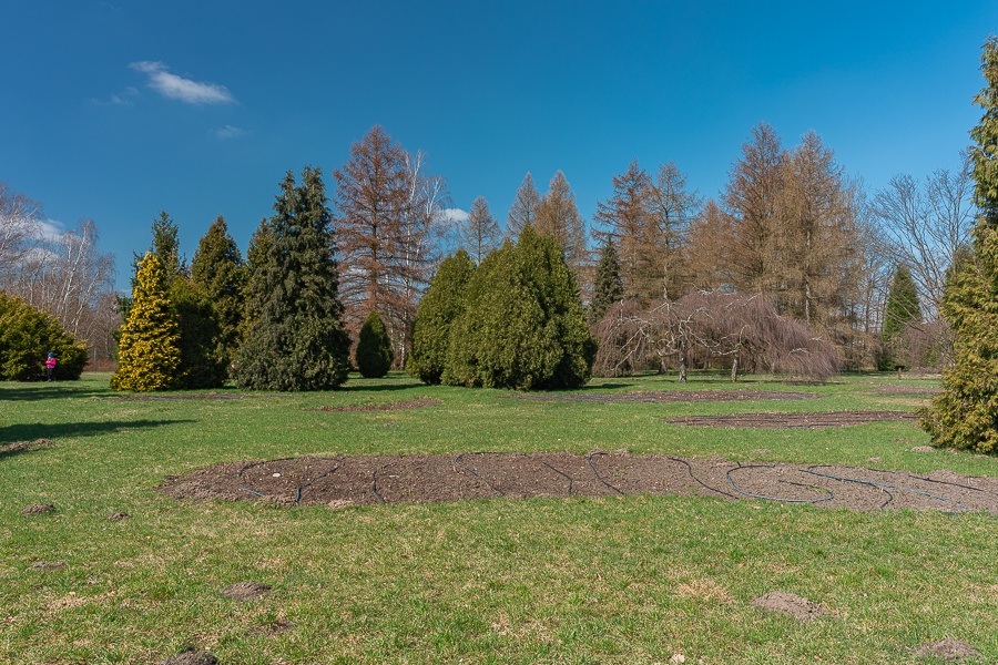 Ogród Botaniczny w Łodzi znowu otwarty  (fot. Michał Pietrzak - TuLodz.pl) |wiadomości łódzkie|łódź|TuŁódź