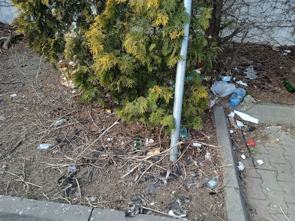Śmieci na parkingu przy Biedronce na ul. Żeromskiego 32