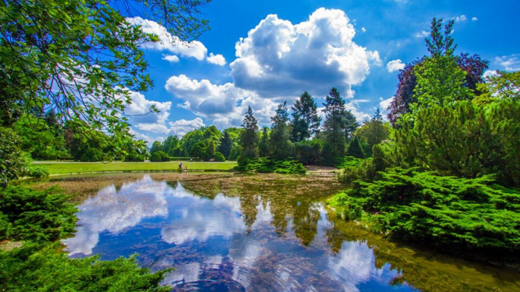 Niezwykła Łódź. Park Poniatowskiego nie tylko na weekend! Poznaj jego bogatą historię [ZDJĘCIA] - Zdjęcie główne