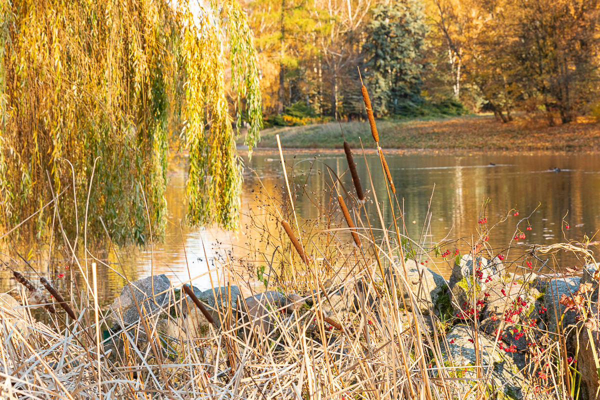 Łódzki park na Zdrowiu zachwyca jesienią