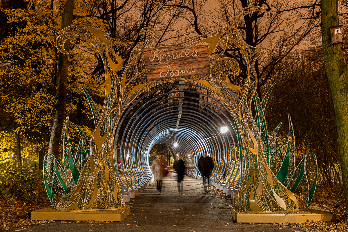 Park Źródliska w Łodzi nocą. Zobacz, jak wygląda, zanim będzie trzeba zapłacić za wstęp [zdjęcia] - Zdjęcie główne