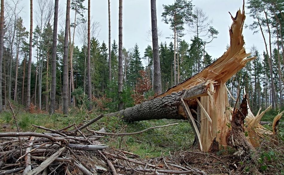 Powiało za 1,9 mld euro! - Zdjęcie główne