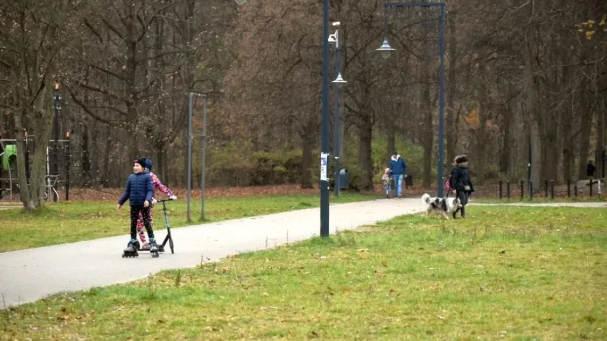 Koniec śledztwa w sprawie zabójstwa w parku na Zdrowiu. Po czterech latach nie udało się znaleźć sprawcy - Zdjęcie główne