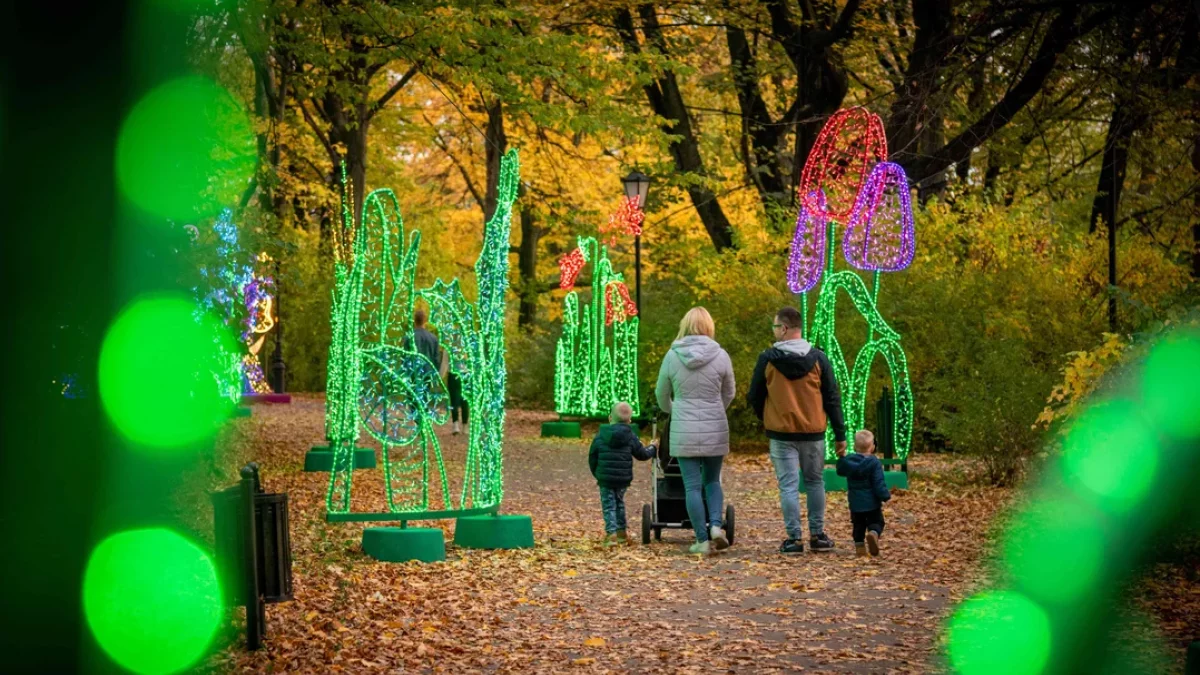 Park Miliona Świateł w łódzkim Orientarium. Kiedy otwarcie, jakie ceny biletów? [ZDJĘCIA] - Zdjęcie główne