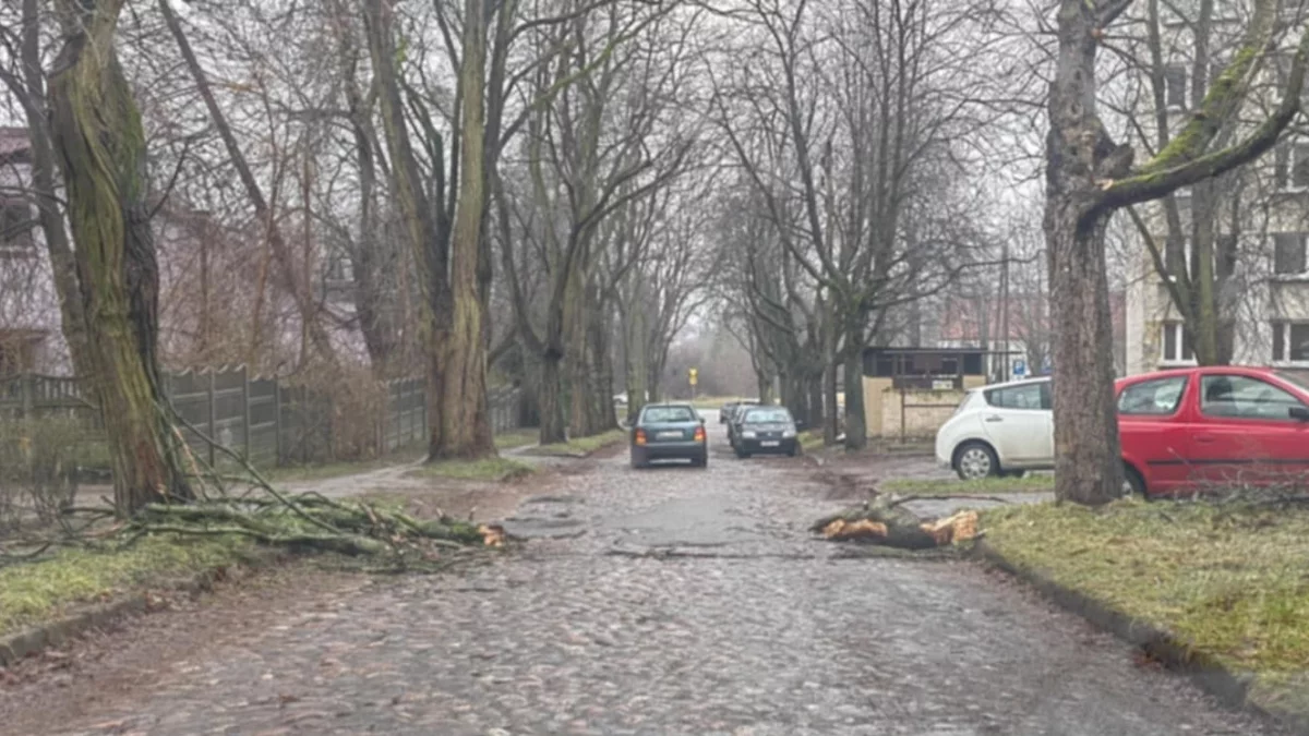 Wichury w Łódzkiem. Wiatr łamał drzewa i zrywał dachy - Zdjęcie główne