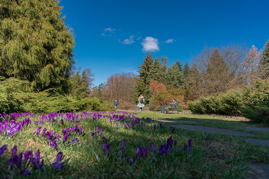 Ogród botaniczny w Łodzi (fot. Michał Pietrzak - redakcja TuŁódź) |wiadomości łódzkie | Łódź | TuŁódź