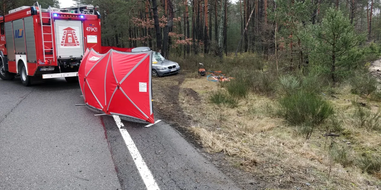 Kierujący BMW uderzył w drzewo. Nie żyje młody mężczyzna. Są utrudnienia na drodze - Zdjęcie główne