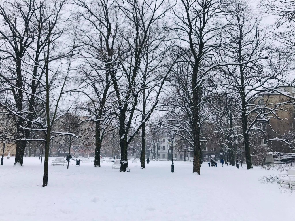 Łódzkie ośnieżone parki zachwycają spacerujących. Zima w mieście ma swoje uroki! (fot. Aga Szynk) |wiadomości łódzkie|Łódź|TuŁódź