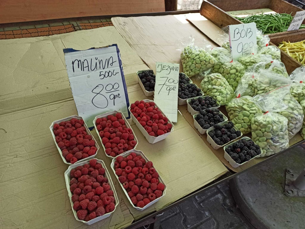 Maliny Łódź. Gdzie kupimy pyszne i tanie maliny w Łodzi? Ceny malin [lipiec 2021] (fot. TuŁódź.pl)