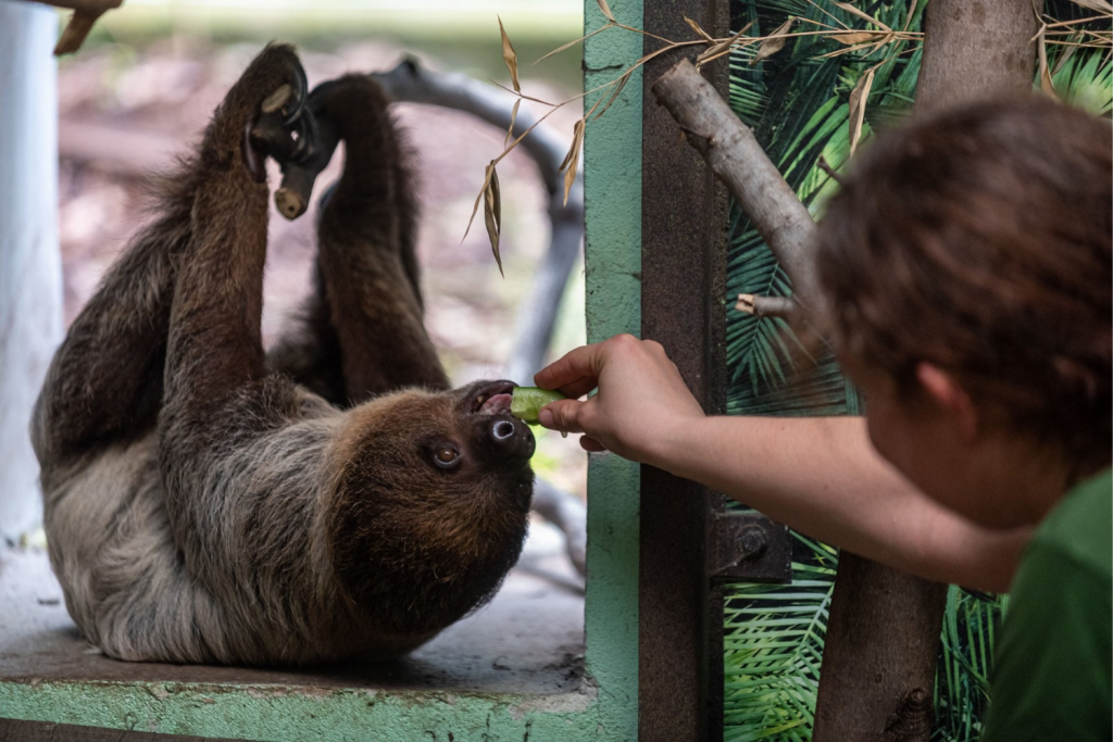 Z okazji ferii zimowych łódzkie Zoo przygotowało atrakcje – jakie niespodzianki czekają na dzieci?  - Zdjęcie główne