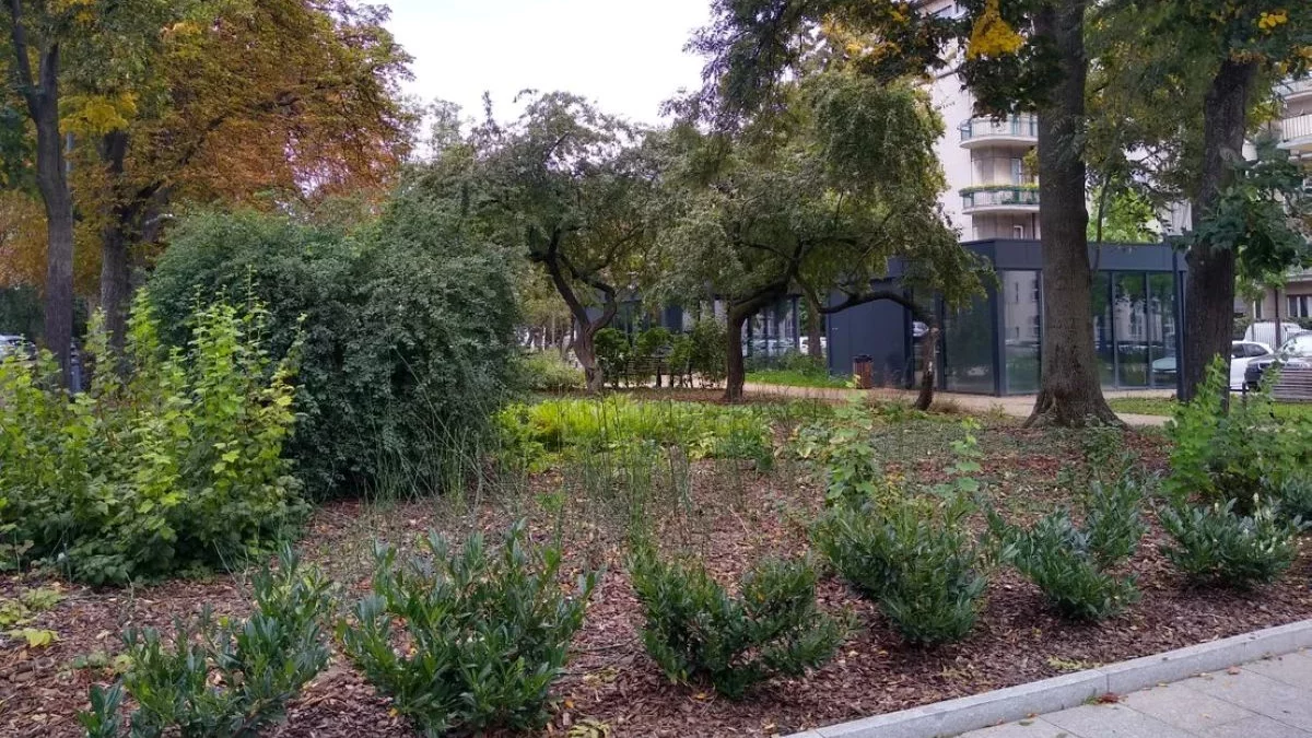 W łódzkich parkach i na placach zabaw usłyszysz nietypowe komunikaty. Jest istotny powód