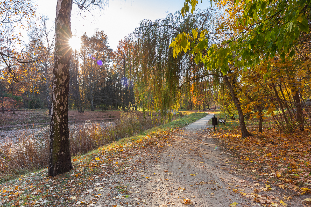 Łódzki park na Zdrowiu zachwyca jesienią