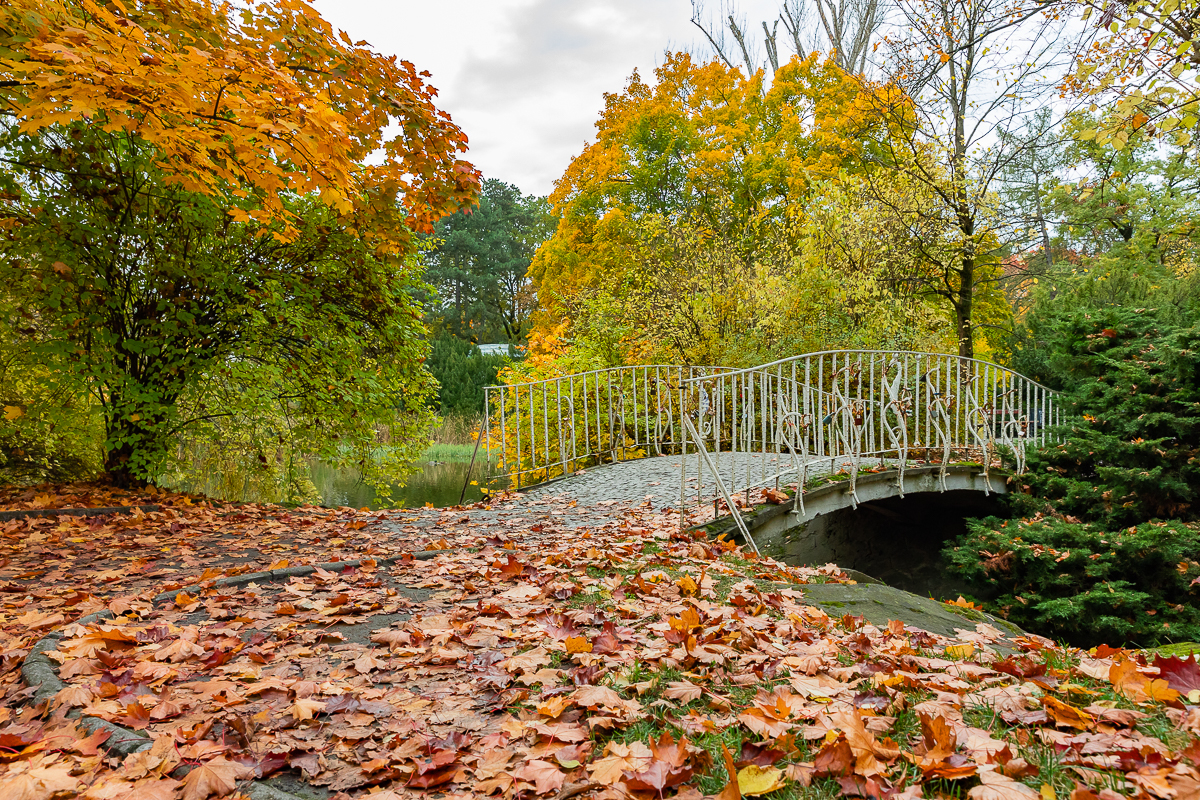 Park Poniatowskiego w Łodzi zachwycił nas jesienią. 