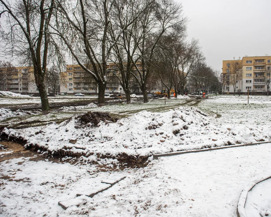 Decyzją mieszkańców na Chojnach powstanie nowy park. Ruszył pierwszy etap inwestycji