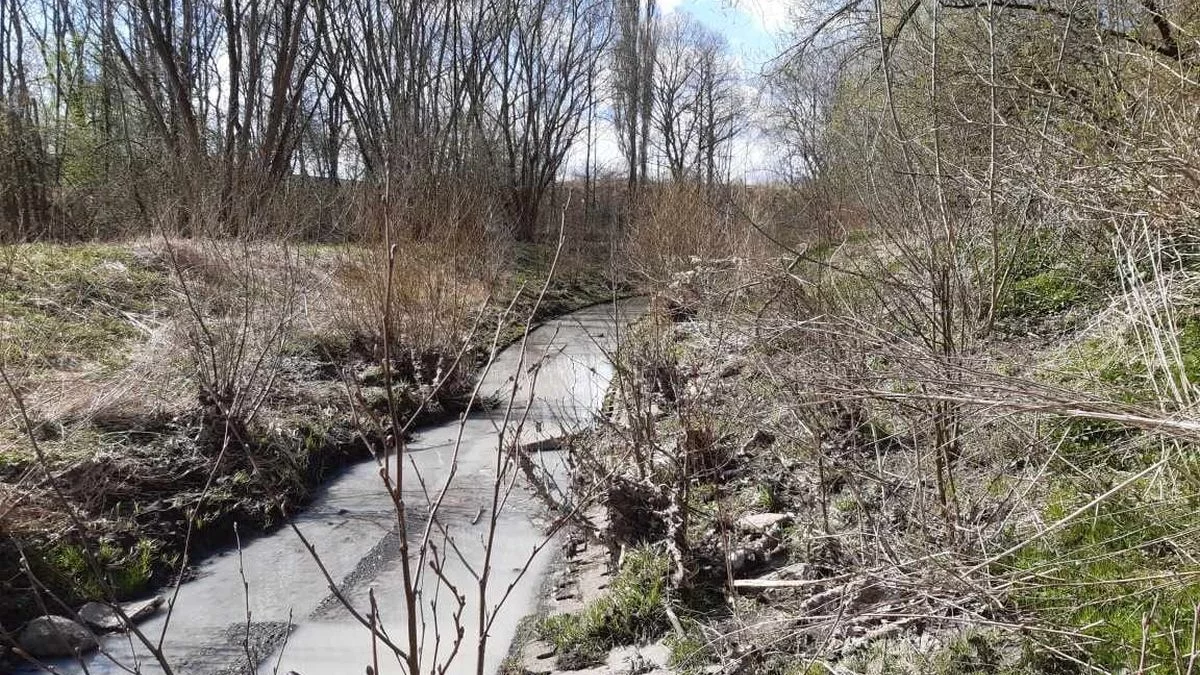 Są już wyniki badań. Czym zanieczyszczono łódzką rzekę?