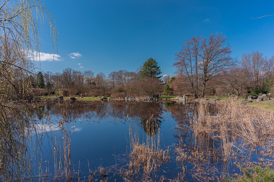 Ogród Botaniczny w Łodzi znowu otwarty  (fot. Michał Pietrzak - TuLodz.pl) |wiadomości łódzkie|łódź|TuŁódź