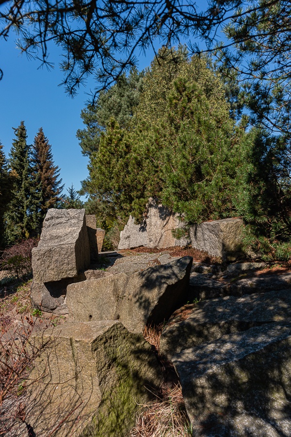 Ogród Botaniczny w Łodzi znowu otwarty  (fot. Michał Pietrzak - TuLodz.pl) |wiadomości łódzkie|łódź|TuŁódź