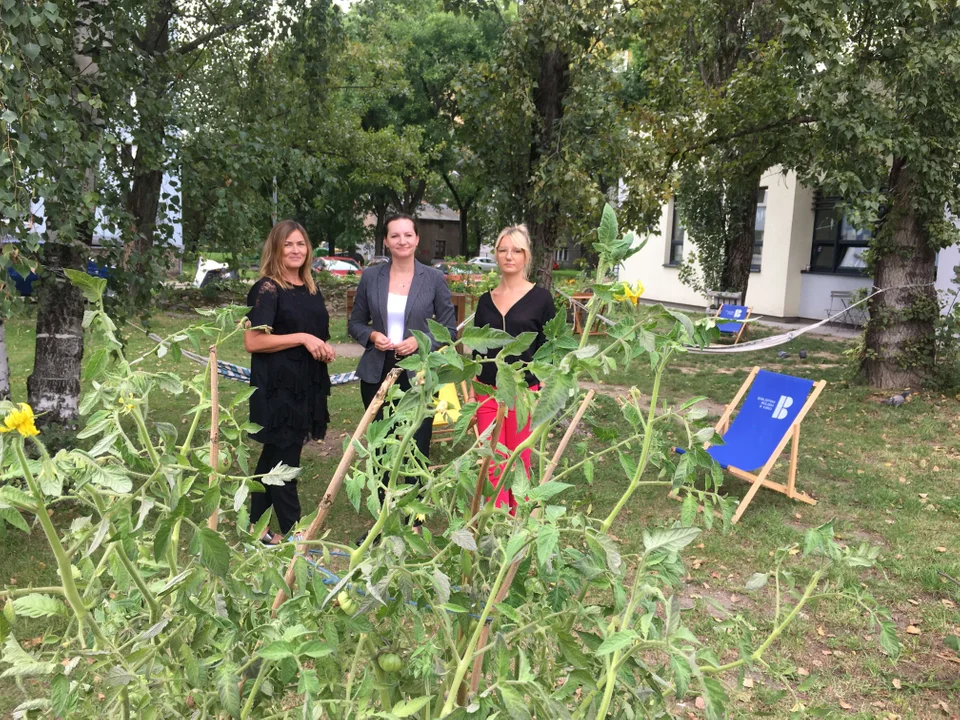 Przy łódzkich bibliotekach powstały ogródki i podwórka. Gdzie poczytać wśród zieleni? - Zdjęcie główne