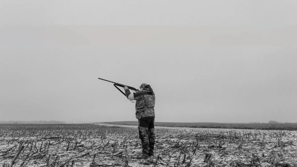 Łódzkie: Skrajna bezmyślność! Ktoś strzela do bocianów? - Zdjęcie główne